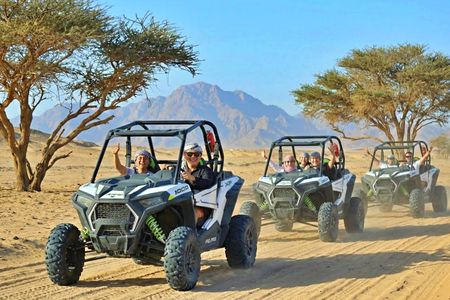 Sharm desert combo buggy ride, bedouin dinner, show and stargazing
