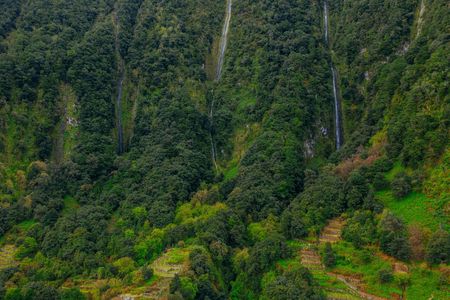 Levada do Alecrim and Lagoa do Vento self-guided experience