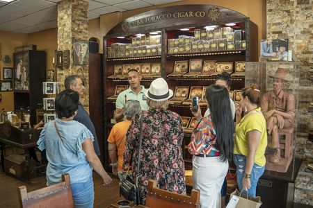 Miami city tour and Biscayne Bay boat tour