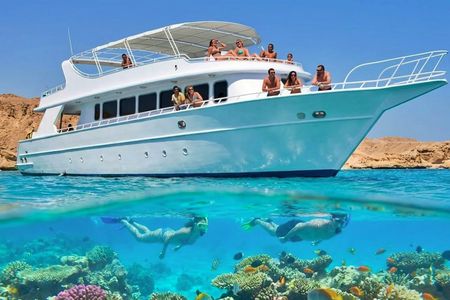 Red Sea cruise to Ras Mohamed with lunch from Sharm El Sheikh