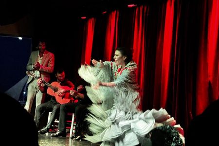 Dinner and Flamenco show in Alicante Marina with private transfer