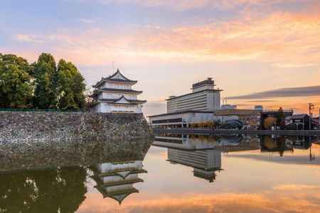 Nagoya Castle and Ghibli Park full-day experience