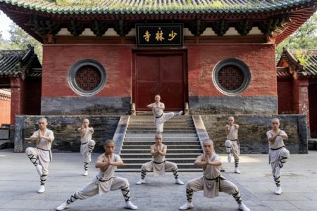Zhengzhou private cultural tour to Shaolin temple and Longmen Grottoes
