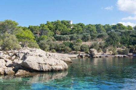 Boat trip from Sant Elm to Dragonera Island Natural Park