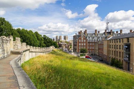 York 1-hour tour with a local