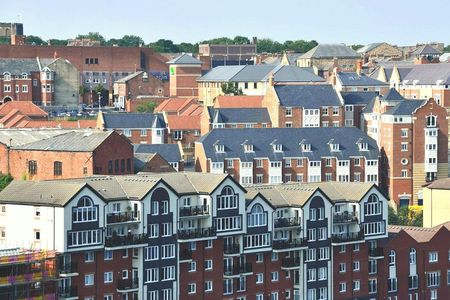 Newcastle 1-hour tour with a local