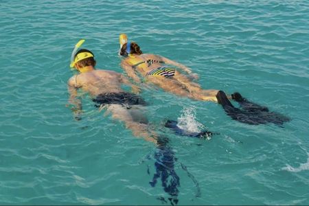 Snorkelling tour at Playa de Los Cancajos with professional guides