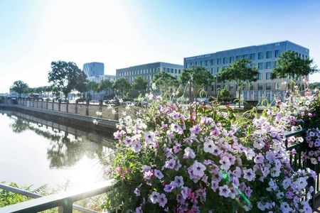 Discover Mulhouse on a guided walking tour with a local