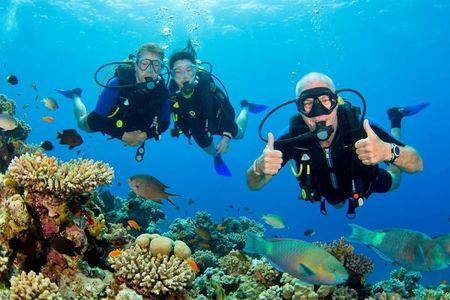 Red Sea diving experiences in Hurghada with transfer
