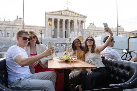 Vienna tour and 3-course gourmet dinner in a classic oldtimer