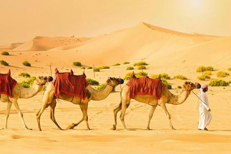 Morning desert safari with dune bashing, sandboarding, and camel ride