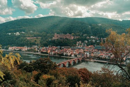 Day tour to Heidelberg with a local guide