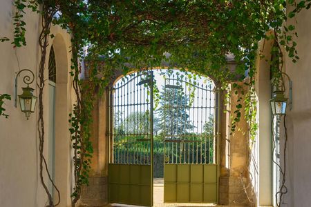 Seville Bodegas Góngora sensory tour with tasting experience