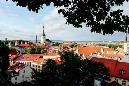 Navigate Tallinn's Insta-perfect spots with a local