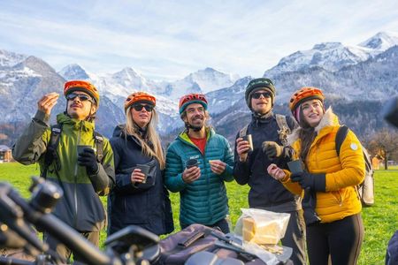 Guided scenic winter e-bike tour from Wilderswil