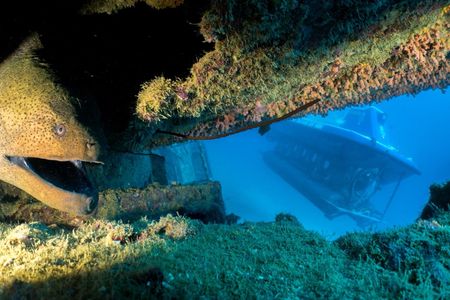 Mauritius submarine tour