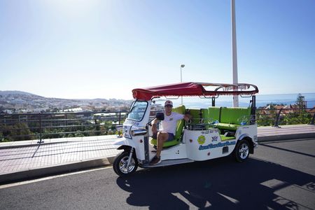 Costa Adeje ecological tuk tuk tour