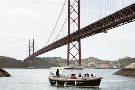 Pastel de nata, bar and dolphins on a cruise in Lisbon