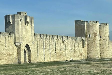 Sable de Camargue full-day minibus tour with lunch and tastings