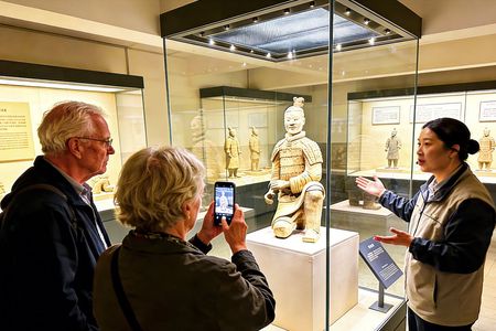 2-hour Terra-cotta Warriors and Horses Museum private guided tour