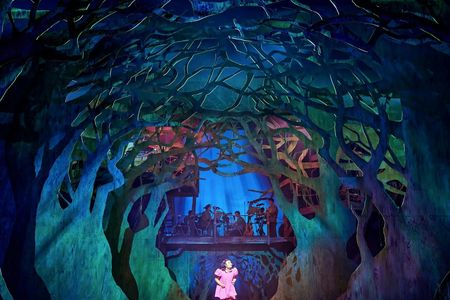 Tickets for My Neighbour Totoro at the Gillian Lynne Theatre