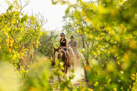 Wild Canyon Park total experience