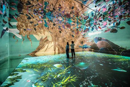 "Frameless" Immersive Art Experience entrance tickets