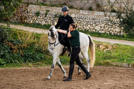 Advanced classical riding lesson with PRE Horses in Mallorca