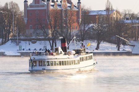 Stockholm Archipelago Winter Boat Tour with Guide