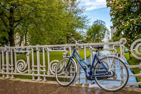 Best intro tour of Rotterdam with a local