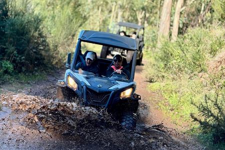 Madeira half-day off-road buggy tour