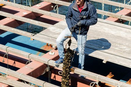 Valencia's coastline catamaran tour with mussels and white wine
