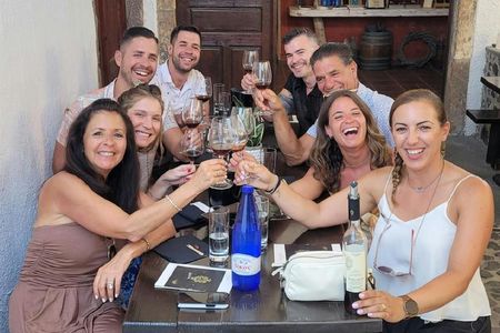 Santorini semi-private day wine tour with two wineries