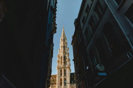 Banksy Museum admission and Brussels' highlights audio tour