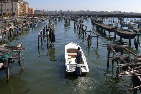 Sustainable Aquaculture Boat Tour in Chioggia's Lagoon