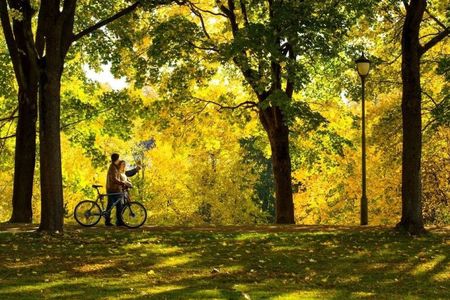 Highlights of Oslo guided bike tour