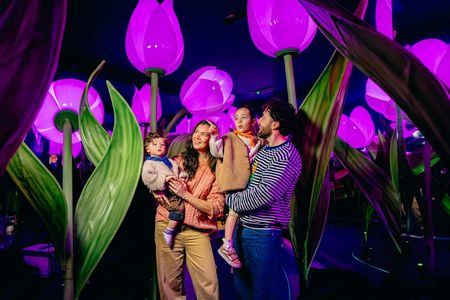 Highlights of Holland