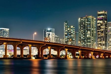 Miami night skyline cruise with premium open bar and views