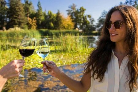 Premium winery tour from Santiago with wine tasting