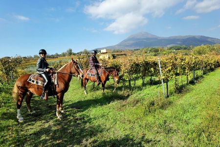 Mount Vesuvius horseback riding adventure