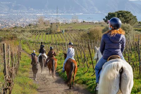 Mount Vesuvius horse riding with wine tasting and lunch