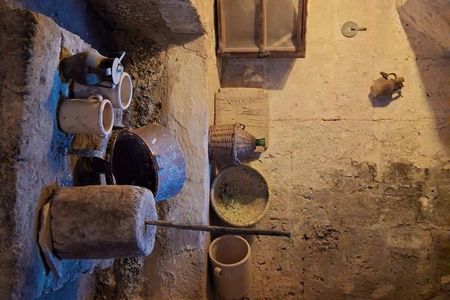 Olive Oil Tasting in a Masseria