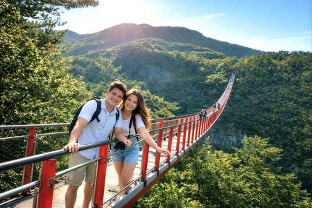DMZ and Mt. Gamaksan Red Suspension Bridge Tour from Seoul
