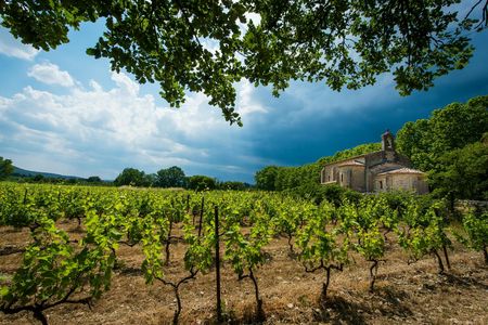 Gaillac small group wine tour with tastings from Toulouse