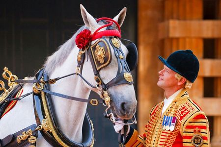 Royal Mews entry ticket with historic coaches and carriages