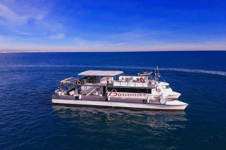 Malvarrosa and Patacona beach catamaran tour with drink