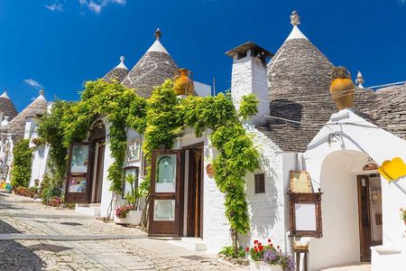 Visit Polignano a Mare and Alberobello from Bari