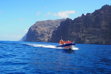 Small-group boat tour along the Cliffs of Los Gigantes to Punta Teno