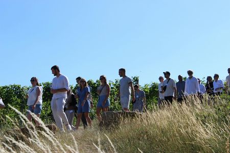 Private Stuttgart wine walk with games and regional tastings