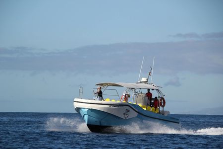 Whale-watching excursion in La Gomera with vintage boat tour